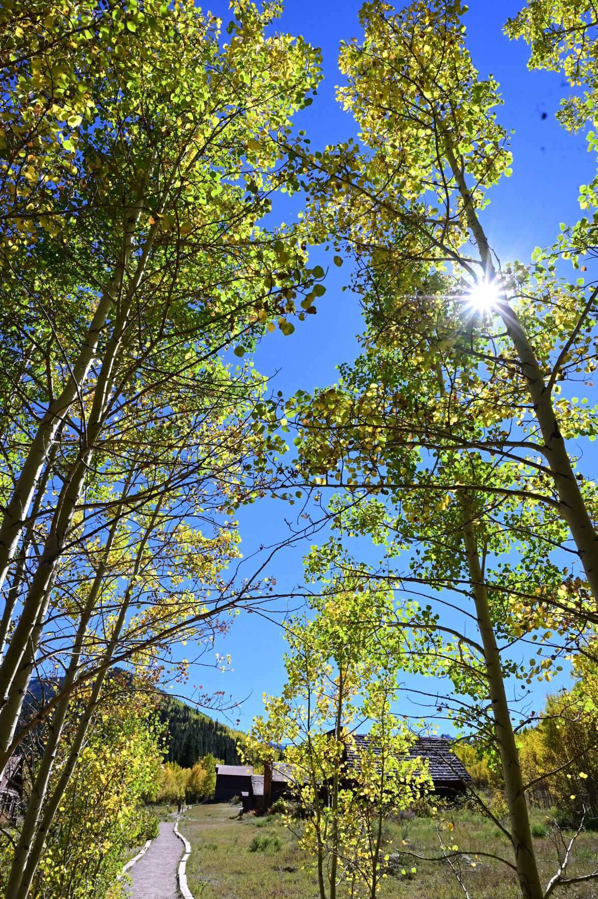 092821-news-aspens 13.JPG